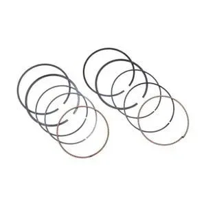 Rebuild Kit Piston Ring Set 13008-0569 Compatible with Kawasaki FR651V